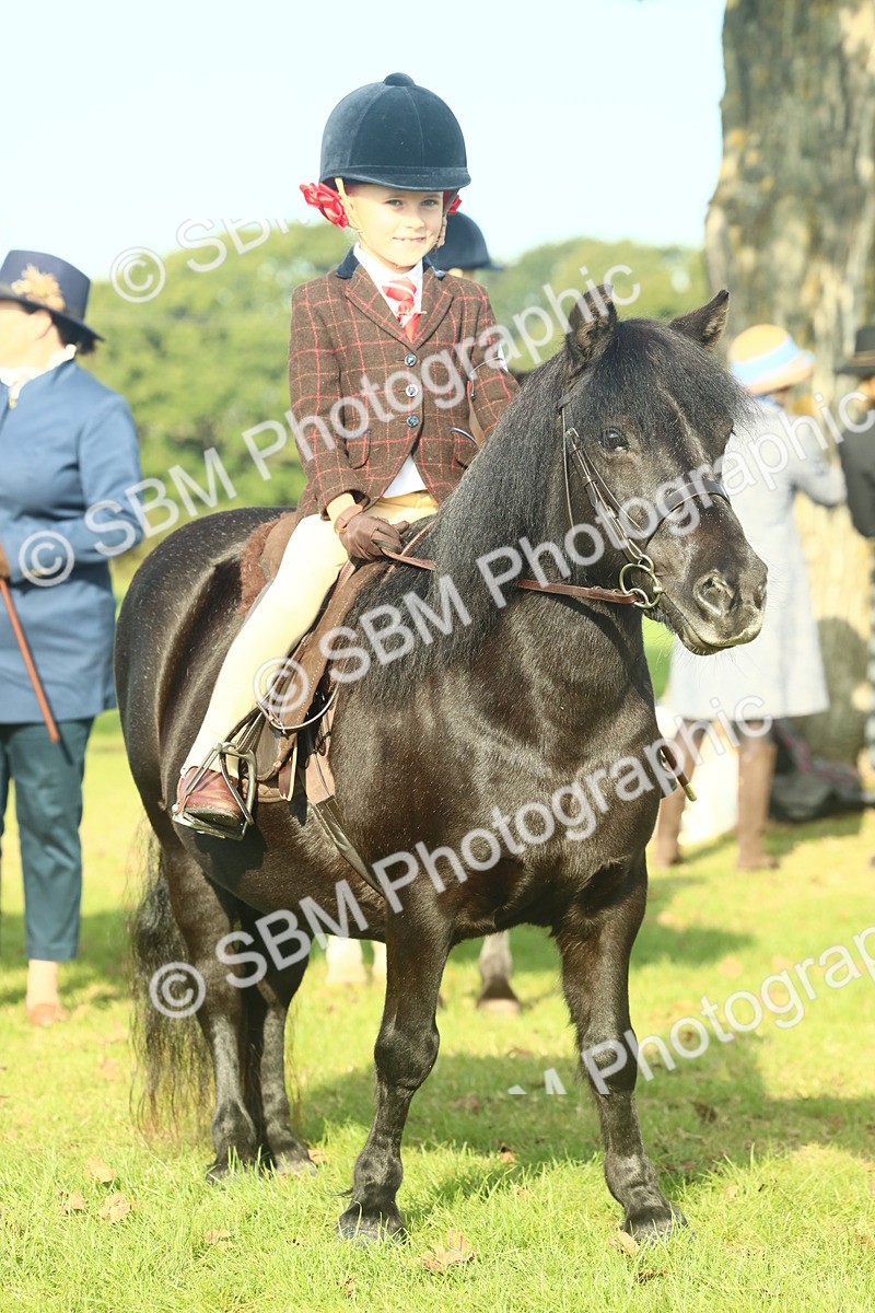 SBM_59239 - S38 - Starters Ridden Showing