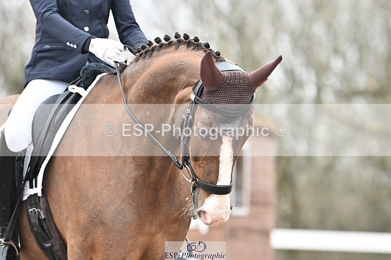 250216-114146-05122 - 164-Elder.Klatzko-Hawtins.Fiorino