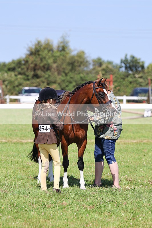 IMG_2049 - Class 34: Show Hunter Pony 153cm and under
