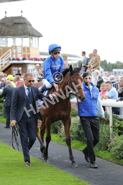 yr19082022r3-11 - Race 3 3.00pm Al Basti Equiworld Dubai Gimcrack Stakes