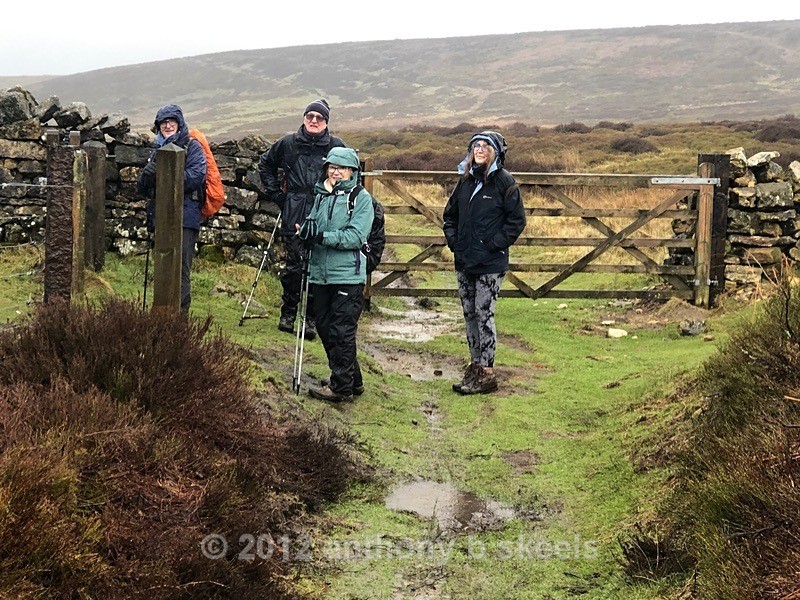 018 Regrouping to go onto Black Hill - York Minster Walkers Collection 2024