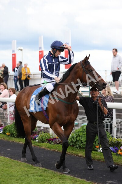 yr22052022r7-7 - Race 7: 6:40pm Sky Bet Sunday Series Fillies' and Mares Stakes