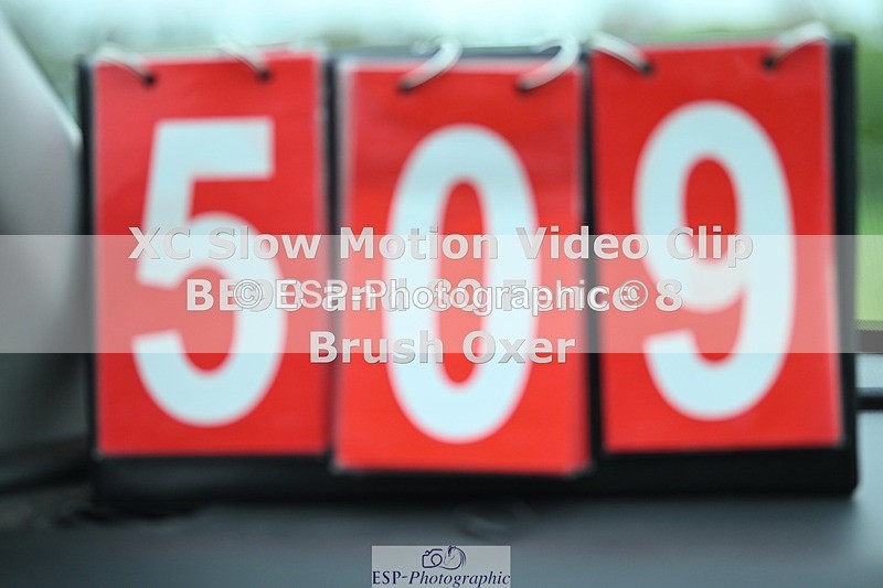 250419-110538-08747 - 509-Ruby.Perry-SPECIAL.BREW.II