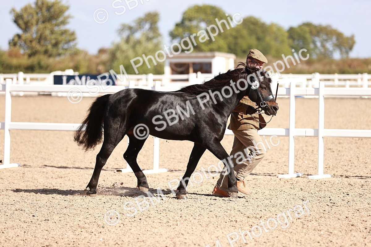 SBM_22780 - Class 705 - IH Combination 65+