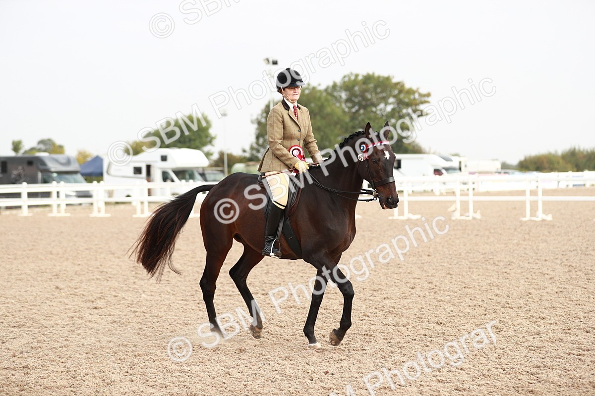 SBM_09465 - Class 202 Best Turned Out Ridden