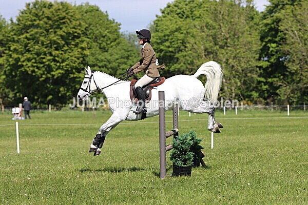 IMG_4500 - Working Hunter