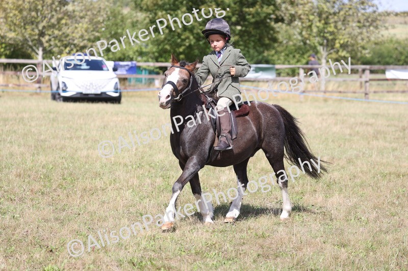 20260906-3080 - Class 18 - Childs First Pony