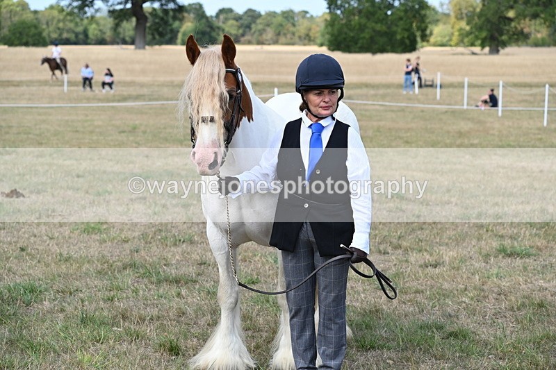 WJ6_6691 - Class 20 In-hand Cob
