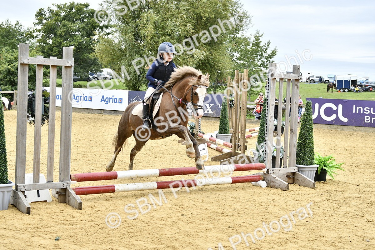 SBM_65485 - J2a mini Tour Junior Pony 30cm Championship