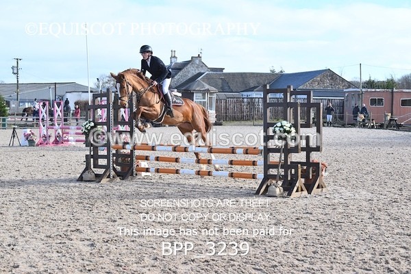 BPP_3239 - CLASS 2  Club/ Unaffiliated 80cms Open