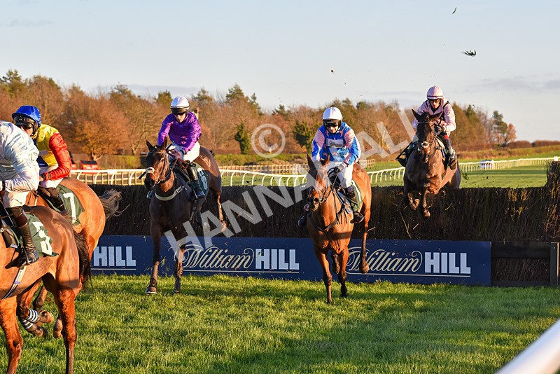 241123-Race 6-Some Scope-7647 - Race 6