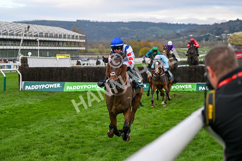 161124-Race 4-Il Ridoto-0452 - Race 4