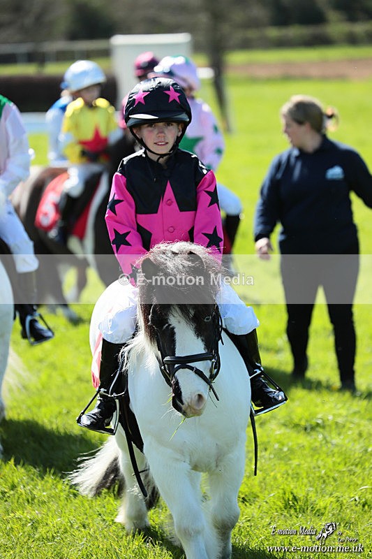 Shet 060426 216 - Shetland Pony Racing Paxford Races Easter Mon 06/04/26