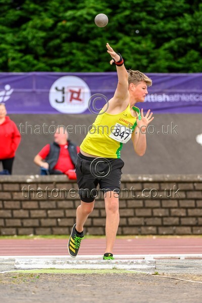 Sen25SAT-921555 - Field Male Set Two