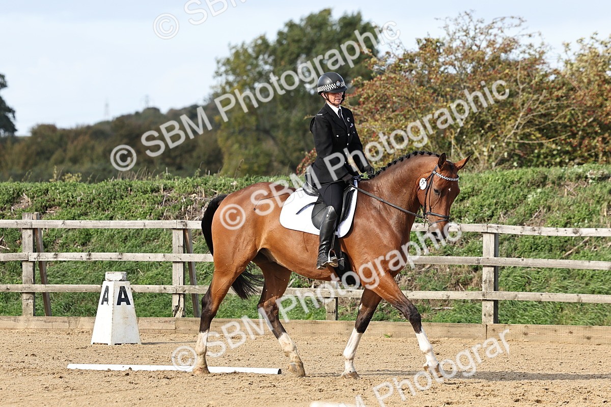 SBM_002253 - Class 50 - Novice 1
