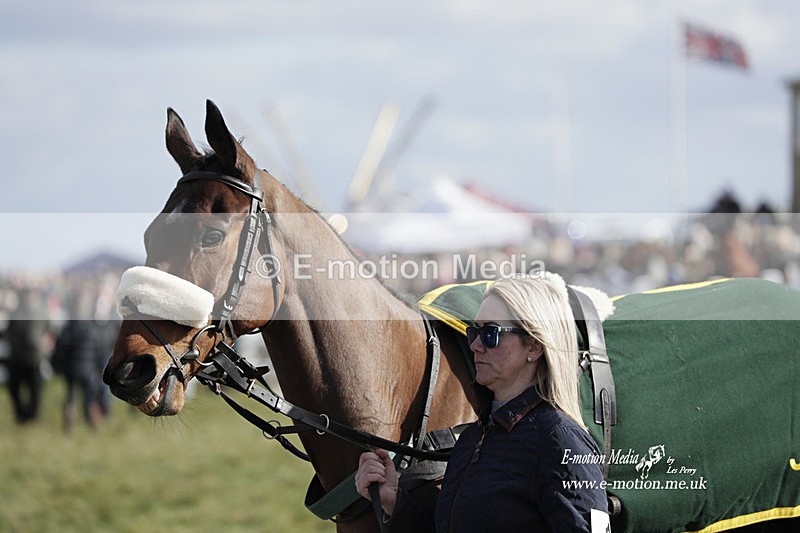 PtP 260223 361 - South & West Wilts Point-to-Point Larkhill 26/02/23