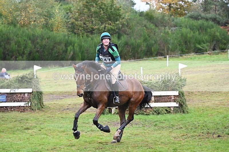 WJ6_2408 - 80cm Cam 1 Time 11:23 to 12:04