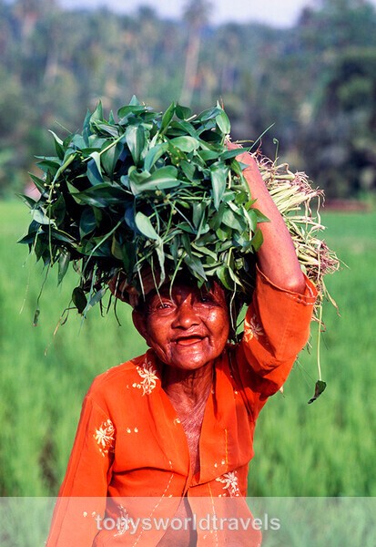Bali Joy, Bali, Indonesia. 1997 - The Story behind the Photograph