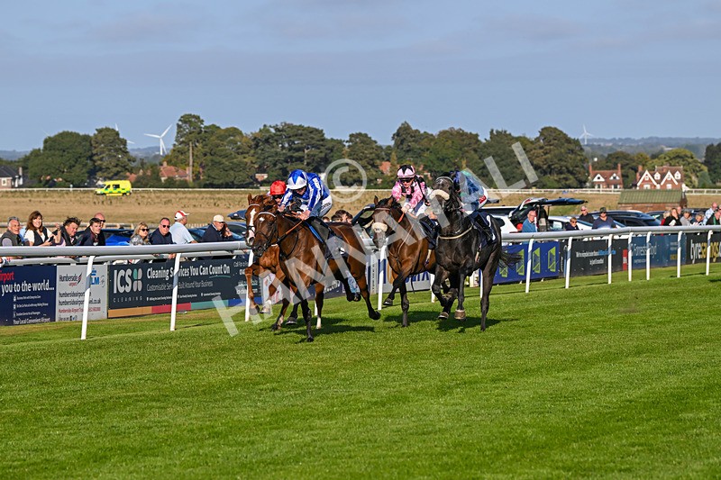 180924-Race 7-Fox Avatar-5223 - Race 7