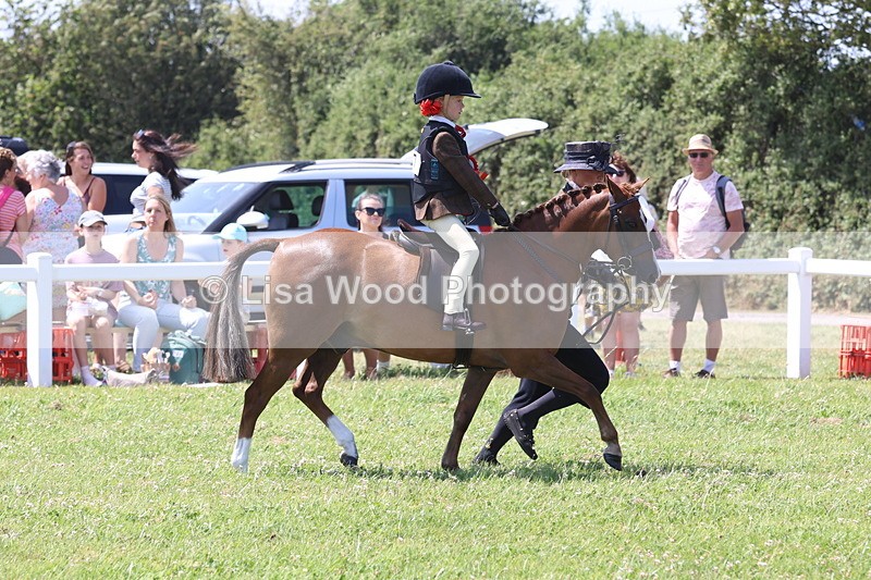 JPP_2390 - Class 20: Tiny Tots Working Hunter Pony