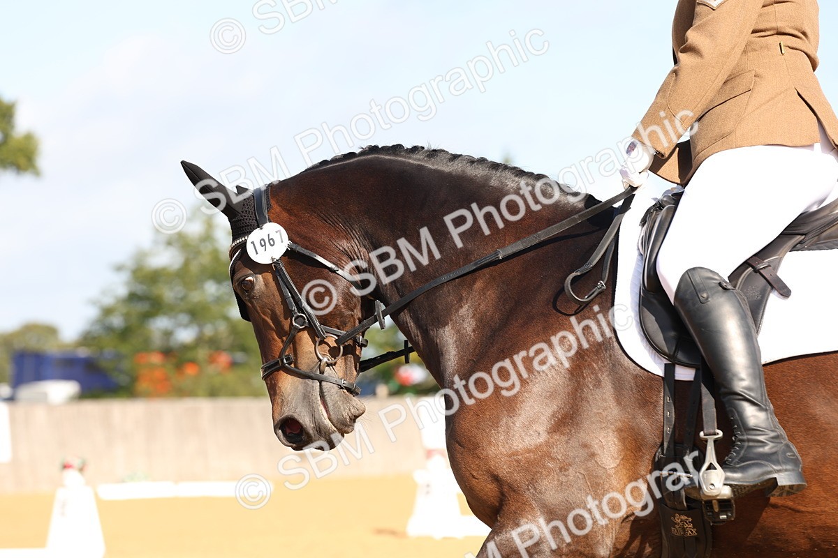 SBM_16228 - D10 - Small Tour Championship Prelim 2