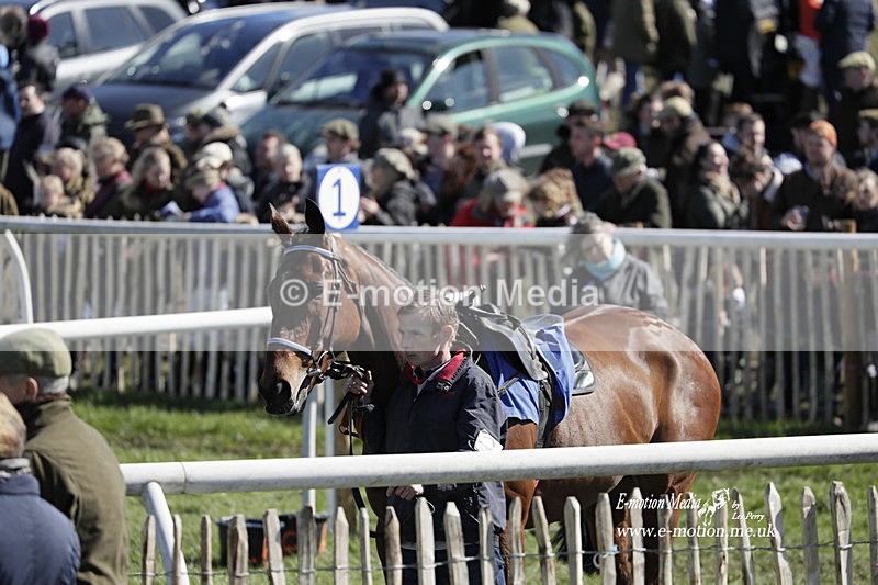 PtP 100423 563 - Old Berkshire Point-to-Point Lockinge 10/04/23