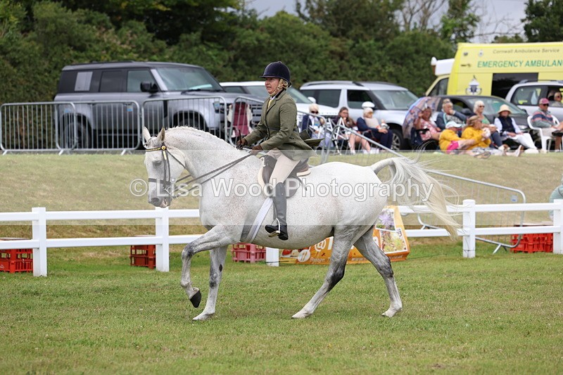 3E7A0948 - Class 8: Open Riding Horse/Hack