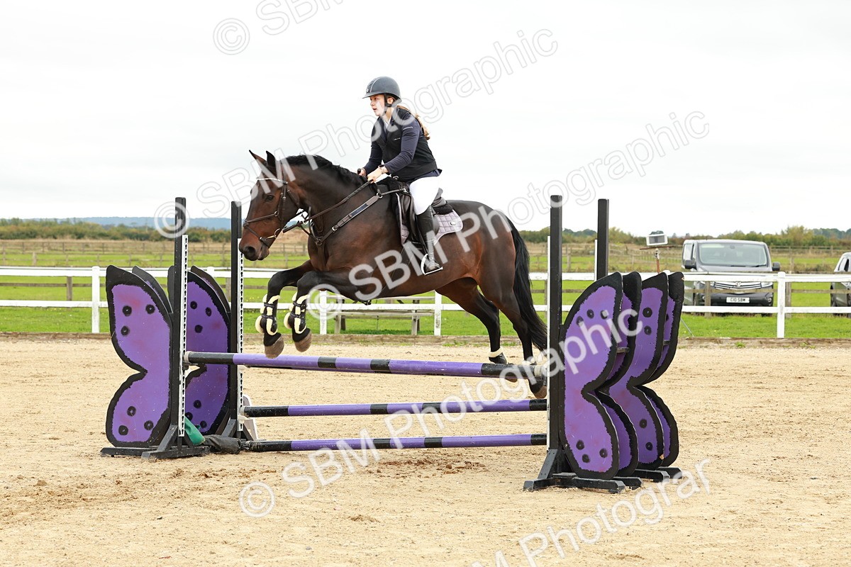 1I0A6994 - Class 2 - Senior British Novice