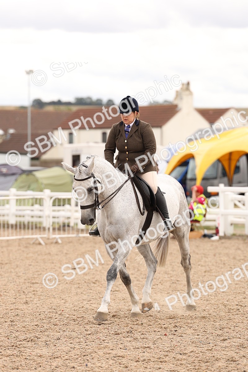 SBM_17233 - Class 213 - Ridden Hunter - Large