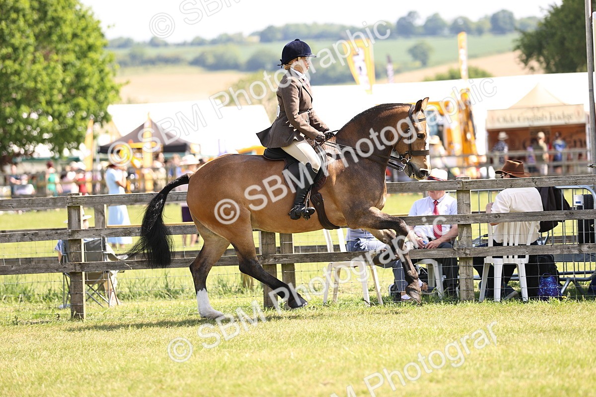 SBM_13720 - Class 77 - LIHS BSHA Rising Star Cobs