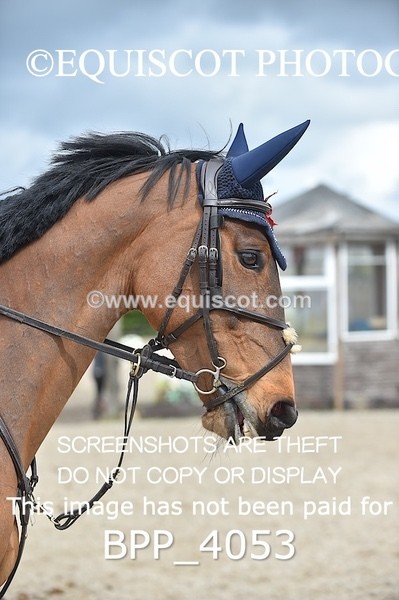 BPP_4053 - CLASS 4 Senior Newcomers/ 1.10m Open