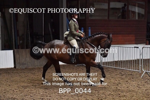 BPP_0044 - RING 1