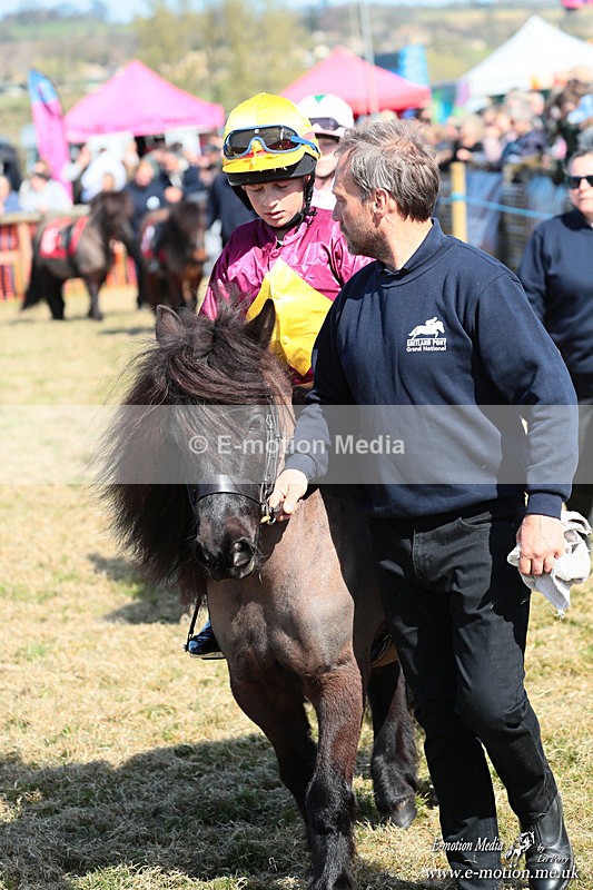 Shet 060426 84 - Shetland Pony Racing Paxford Races Easter Mon 06/04/26