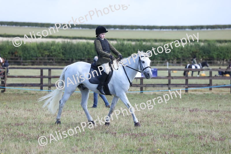 20250831-2463 - Class 16 - Family Pony