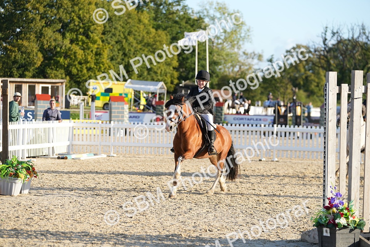 SBM_54073 - J8 - Junior Pony 65cm Championship