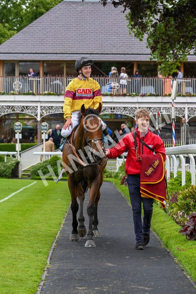 150624-Race 6-Pisanello-8060 - Race 6 4.45pm Ice Co Supporting Macmillan Handicap