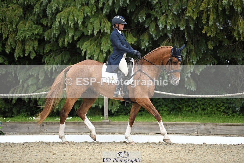 230525-151927-03225 - 308-NEFFECT_S-Kat_Raybould-WEDTrotUp+DR