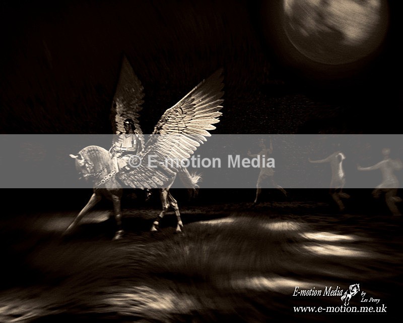 spirit horse 020906 046bw1 - B & W photography