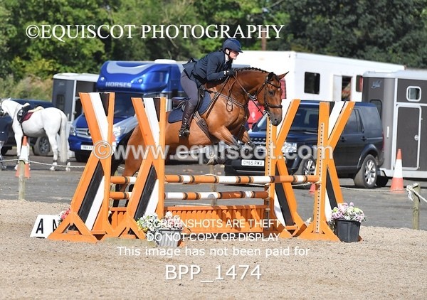 BPP_1474 - CLASS 3 SAT Senior British Novice/ 90cm Open