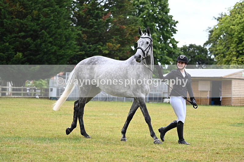 WJ7_6008 - Class 4a Prettiest Mare over 14hh