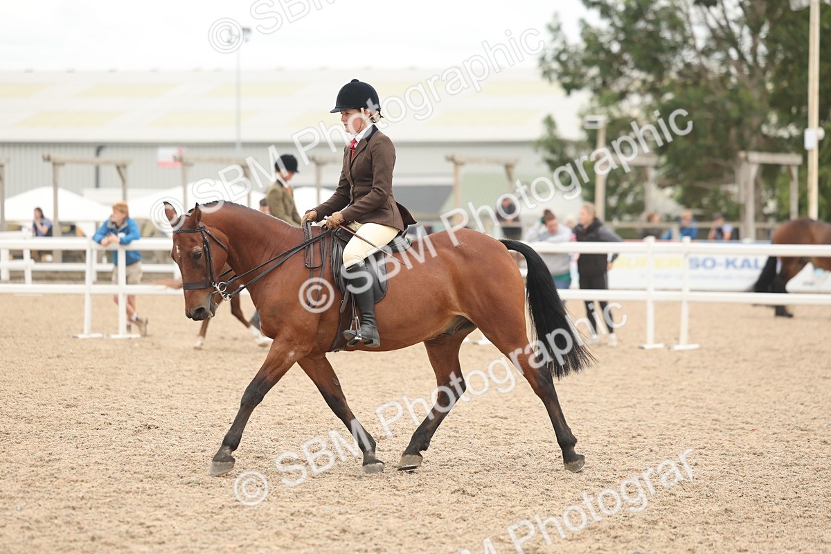 SBM_19145 - Class 316 - Best Pony-Rider Combination