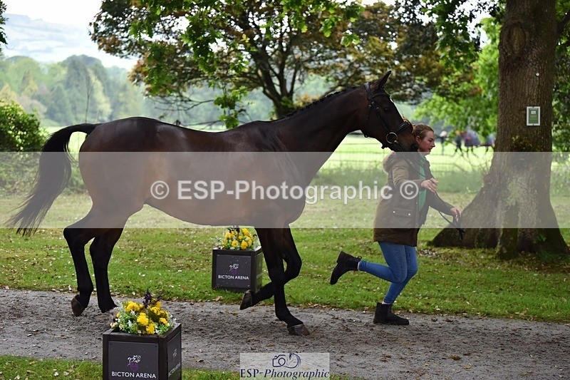 240522-164438-01124 - 218-DALI_III-Natasha_Bailey