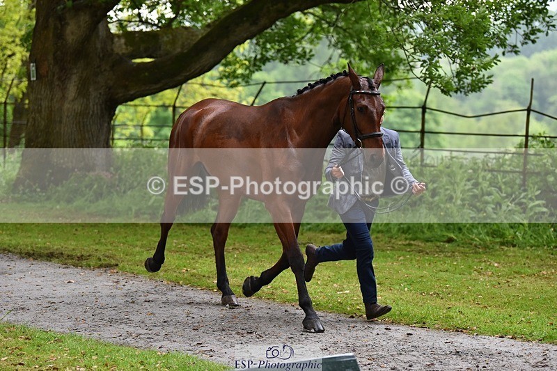 240522-162248-00876 - 275-SFS_ARRANO-Roberto_Scalisi