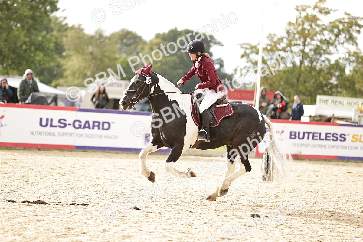 SBM_28553_J46 - Accumulator 80 90cm - Natasha Shelton