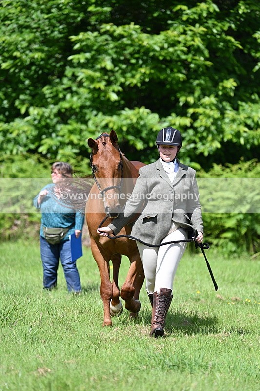 WJ7_1073 - Class 11 Condition & Turnout