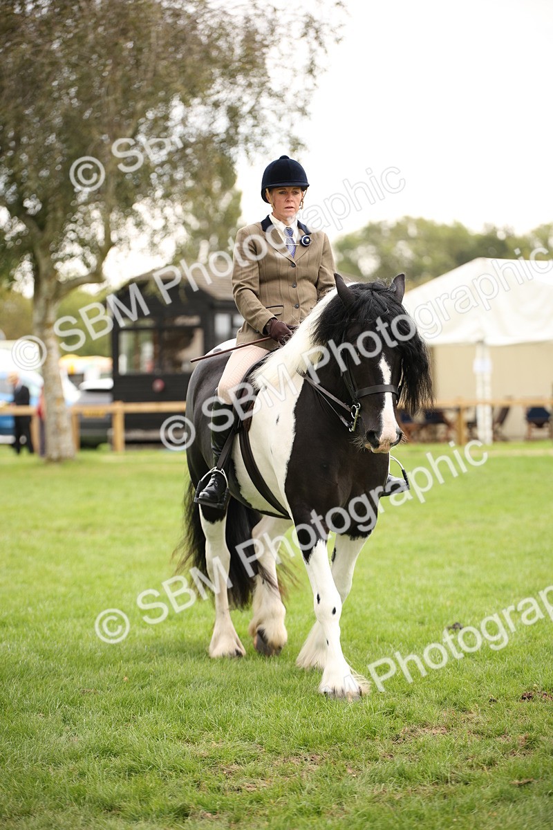 SBM_73524 - S68 - Traditional Cob Ridden