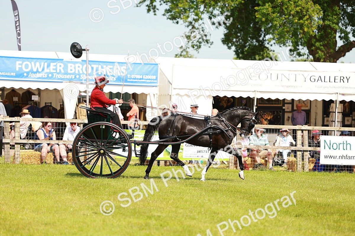 SBM_02848 - Class 2-4 - HOYS Private Driving