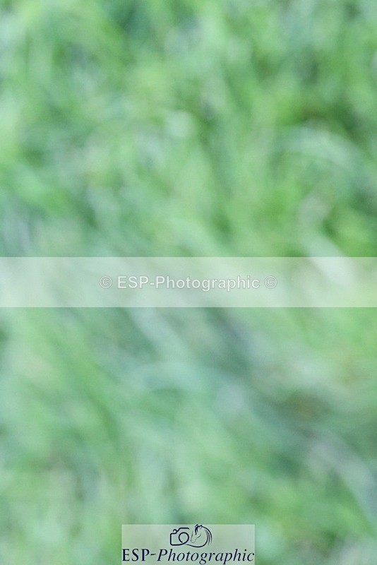 231022-162652-30482 - BE90 Presentations