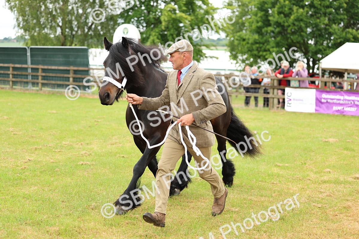 SBM_00521 - Class 58-67 - M&M Non Welsh Pony In hand