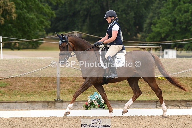 250719A-093816-02988 - 144-Verity.Perry-Vogue